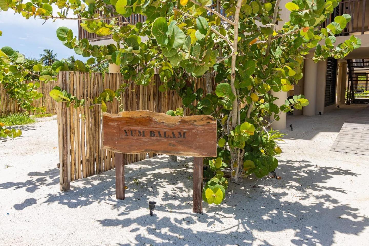 Ocean View Loft In Punta Cocos - C102 Otel Isla Holbox Dış mekan fotoğraf