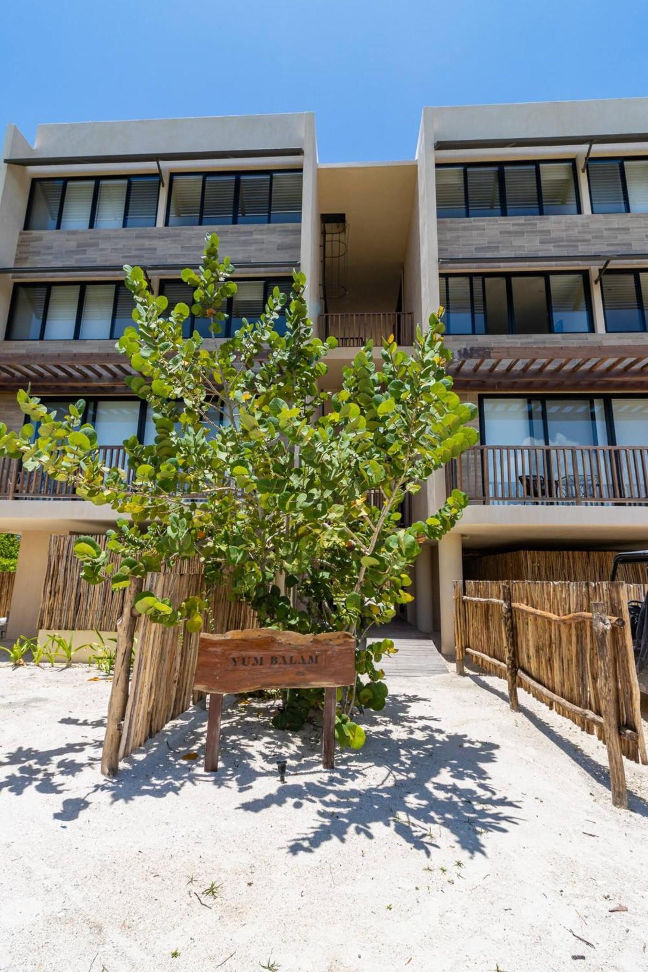Ocean View Loft In Punta Cocos - C102 Otel Isla Holbox Dış mekan fotoğraf